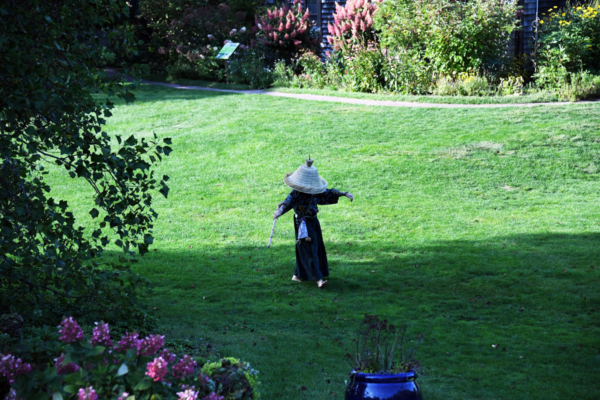 074 A Buddhist monk attempts to get close to nature at the Heritage Gardens.jpg
